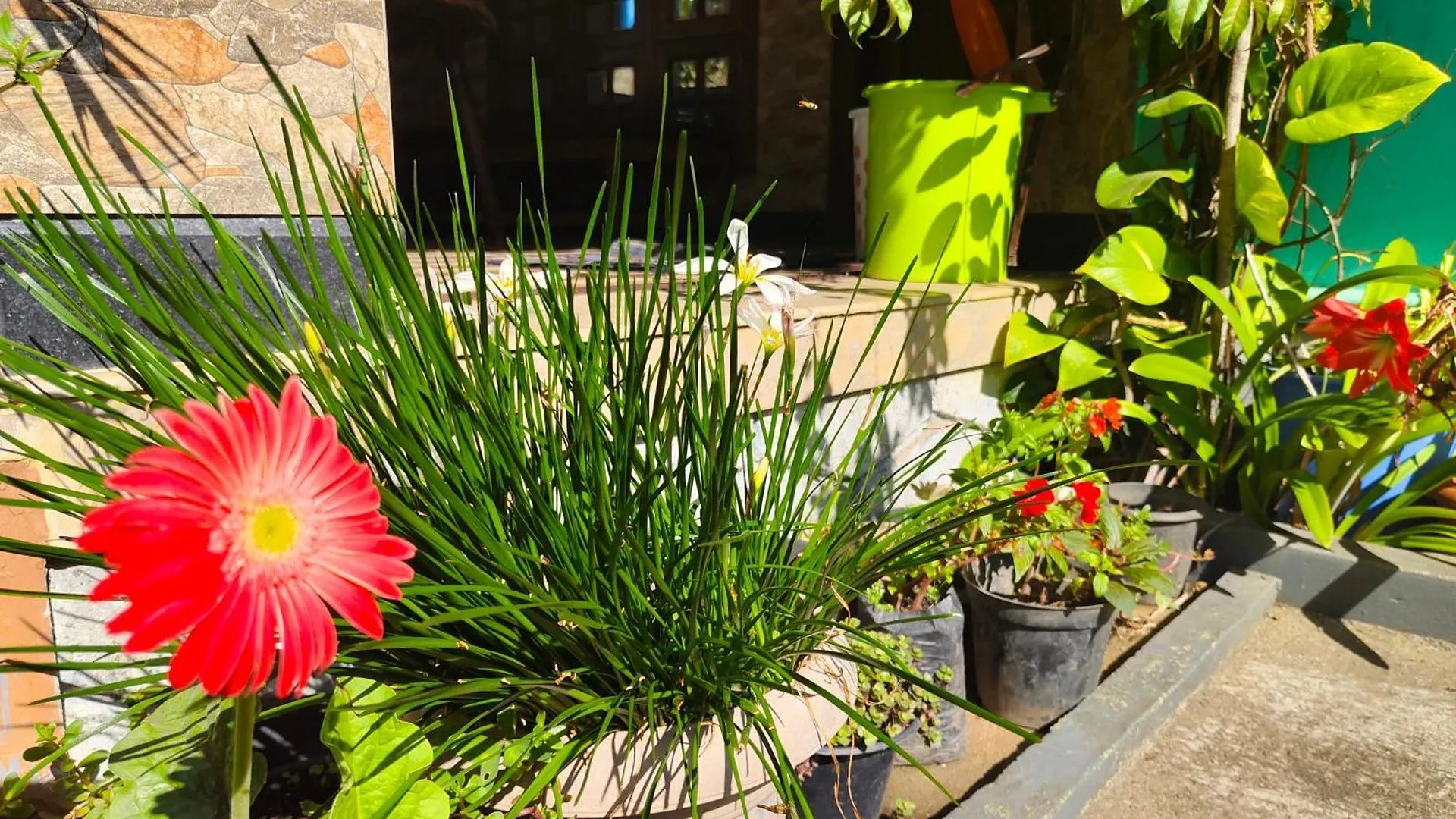Munnar Pavithra Riverview Homestay India