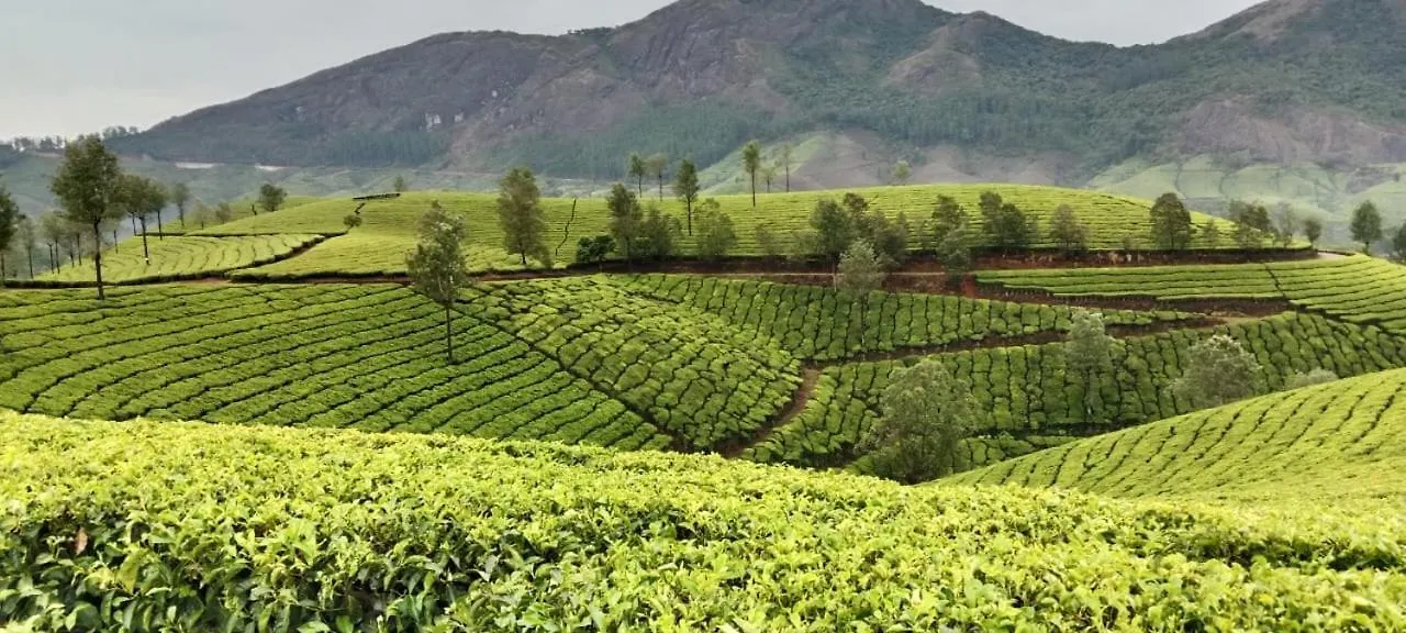 Munnar Pavithra Riverview Homestay 0*,  India
