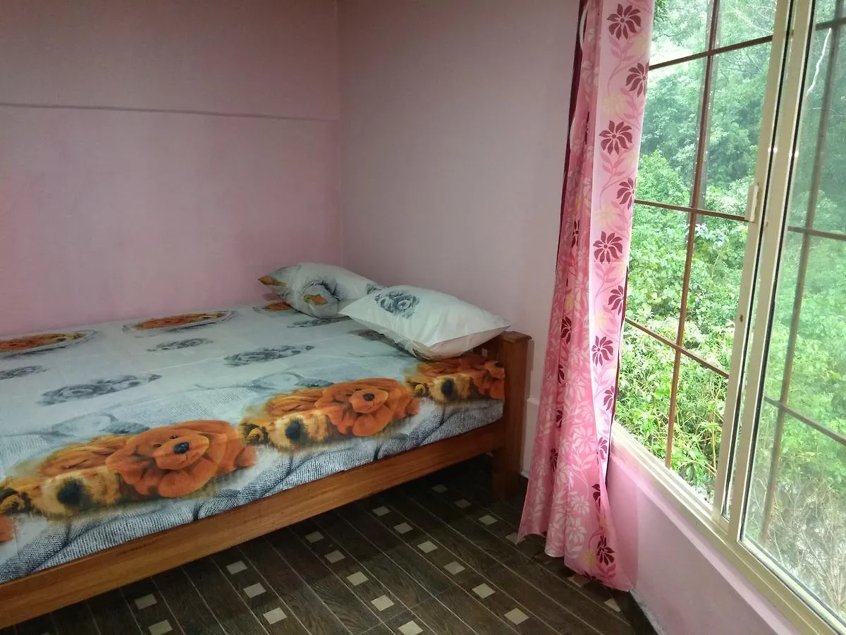 Munnar Pavithra Riverview Homestay India